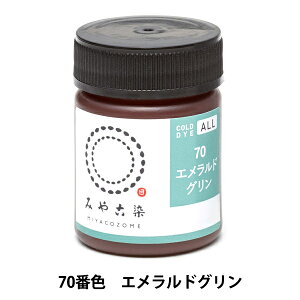 ���� �wCOLD DYE ALL (�R�[���_�C�I�[��) 70�G�������h�O�����x KATSURAYA �j��