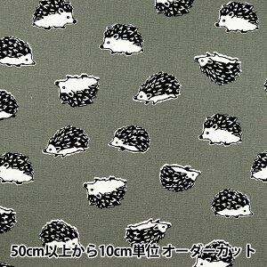 y5z n wIbNXvg ͂˂ O[ 38135-2Dx