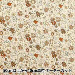 y5z n wV[`O {^jJK[f uE ACS1105-Cx COTTON KOBAYASHI Rbg΂₵ ё@