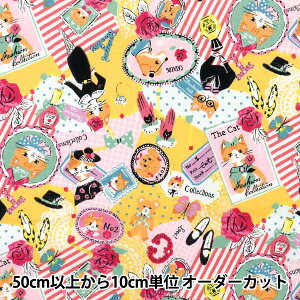 y5z n wsobakasu kids. V[eBO R[W CG[ SK829919-Cx YUWA L֏X