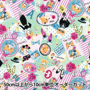 y5z n wsobakasu kids. V[eBO R[W ^[RCY SK829919-Dx YUWA L֏X