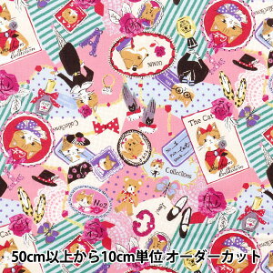 y5z n wsobakasu kids. V[eBO R[W sN SK829919-Ex YUWA L֏X