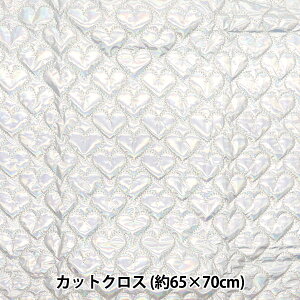 n wn[gzOLgJbgNX 65cm×70cm }` C-HS2256-6MUx