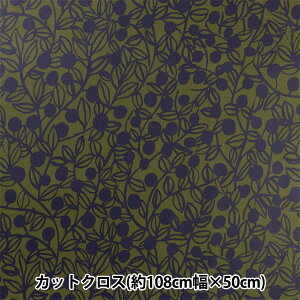 n wkippis (LbsX) IbNX~l[g JbgNX 108×50cm u[x[ J[L KPORK-50Bx