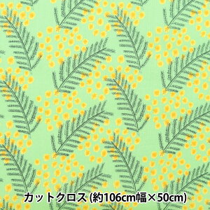 n wkippis (LbsX) V[`O JbgNX 110×50cm ~U CgO[ KPSK-80Bx