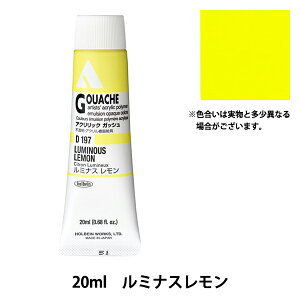 �G�� �w�A�N�����b�N�K�b�V�� D197 ���~�i�X������ HAG6���x HOLBEIN �z���x�C��