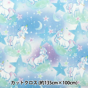 n w͂RۖhL|GXe JbgNX 135cm×100cm jR[ u[ C-HP-SC-UN-BLx