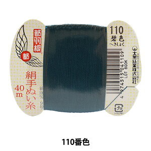 D wsH D 9 40m J[h 110ԐFx 单N
