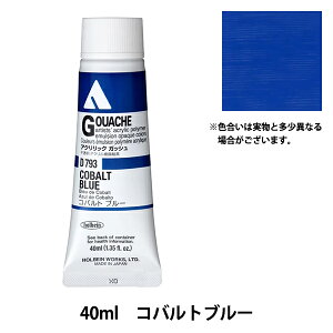 �G�� �w�A�N�����b�N�K�b�V�� D793 �R�o���g�u���[ HAG9���x HOLBEIN �z���x�C��