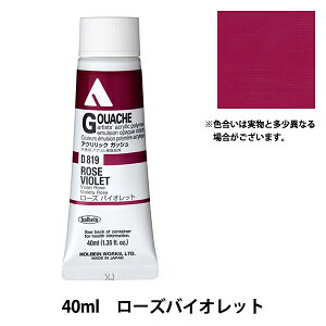 �G�� �w�A�N�����b�N�K�b�V�� D819 ���[�Y�o�C�I���b�g HAG9���x HOLBEIN �z���x�C��