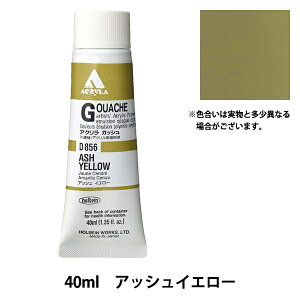 �G�� �w�A�N�����b�N�K�b�V�� D856 �A�b�V���C�G���[ HAG9���x HOLBEIN �z���x�C��