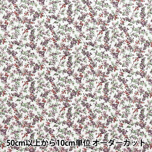 y5z n woeBEt@ubNX sJf[|v [EX 8883225-UPx Liberty Japan oeBWp
