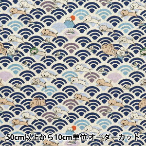 y5z n wȖLoX Cg ˂ƑĂ lCr[ KTS7065-Bx COTTON KOBAYASHI Rbg΂₵ ё@