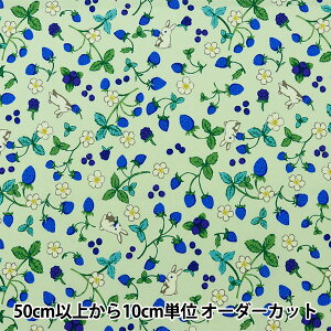 y5z n w͂|GXe C`S ~g HP-BER-MIx