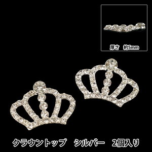 ��|�p�[�c �w�N���E���g�b�v 2���� �V���o�[ AP25303�x