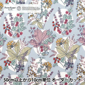 y5z n woeBEt@ubNX ^i[ z[\[Eoj[Y DC30743J20Ax Liberty Japan oeBWp