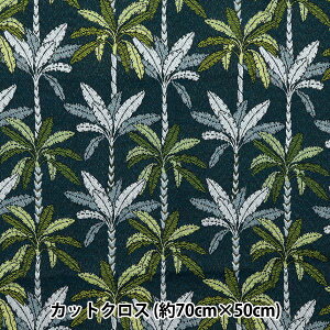 n wSAFECO WK[h JbgNX Papeette 70cm×50cm C-PAPETTE PAOx