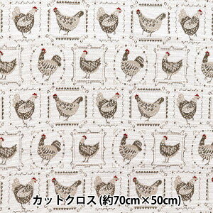 n wSAFECO WK[h JbgNX Poules × 70cm×50cm C-POULSE BLANx