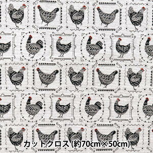 n wSAFECO WK[h JbgNX Poules × 70cm×50cm C-POULSE BLANx