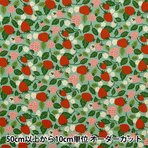 y5z n wV[`O  AP45902-1Cx