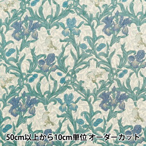 y5z n wV[`O V&A ACX x[Wu[ VA10025-Ex