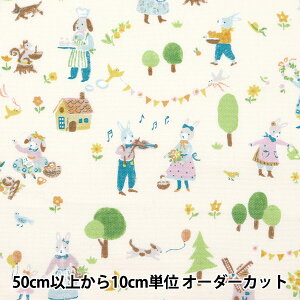 y5z n wIbNX JtLoX ̉y CG[ COCAN-RAB-YEx KOKKA RbJ