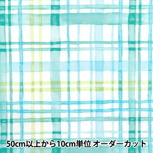 y5z n wJtLoX V[`O ʃ}``FbN TbNX COCAN-MUC-SAx KOKKA RbJ