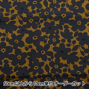 y5z n wNOVA IbNX kԕ uE NOX-NFL-BRx KOKKA RbJ