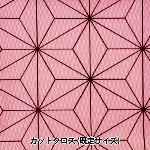 n wRہEhLH |GXevg JbgNX ̗t͗l () 70×100cm sN HS2156-3Ax