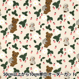 y5z n wkippis (LbsX) IbNX Xɂł AC{[ KPO-94Ax