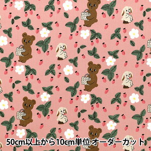 y5z n wkippis (LbsX) IbNX Xɂł sN KPO-94Bx