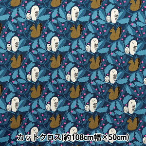 n wkippis (LbsX) IbNX JbgNX 108×50cm X̕a u[ KPOK-84Bx