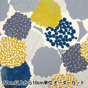 y5z n wechino (G`m) ȖV[`O bright CG[ EKX-98130-30Bx KOKKA RbJ