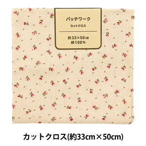 n wpb`[N JbgNX 33cm×50cm uW x[W C-DG10654S-Bx