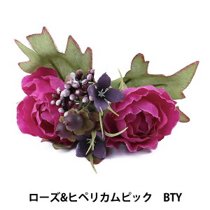  VNt[ w[Y&qyJsbN BTY VT2110x