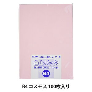 p wF㎿ FpbN B4  100 RXXx muse ~[Y