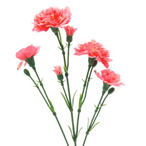  VNt[ wJ[l[VXv[ sN VE6818x