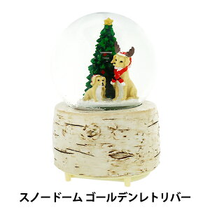 NX}XG wXm[h[L S[fgo[ CMG25-SDL1x