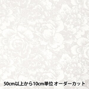 y5z n wTeWK[h  zCg SJ2407BB-01x