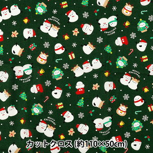 n wV[`O NX}X 110cm×50cm O[ C-AP55102-3Ax