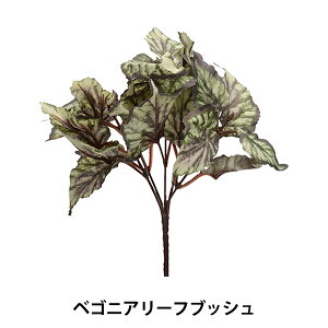  VNt[ wxSjA[tubV VEG-5324x