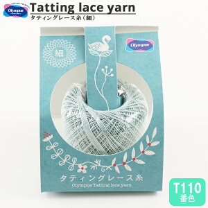 [X w^eBO[X () T110ԐFx Olympus IpX