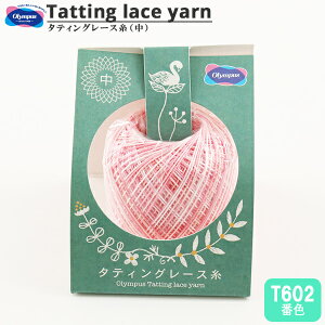 [X w^eBO[X () Jt T602ԐFx Olympus IpX