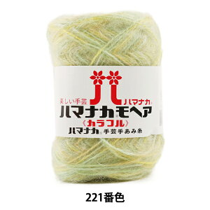 H~ю wn}iJ wA Jt 221ԐFx Hamanaka n}iJ