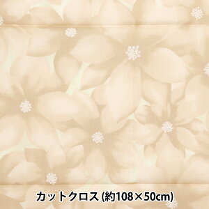 n wNX}Xvg JbgNX |CZ`A 108cm×50cm x[W C-DX10532L-Ax