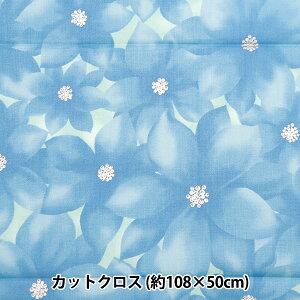 n wNX}Xvg JbgNX |CZ`A 108cm×50cm u[ C-DX10532L-Ex