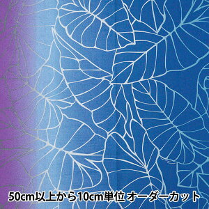 y5z n w}EiA T/C nCAvg Of[V u[YFOP3107x