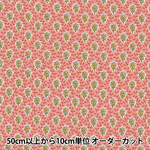 y5z n wSOULEIADO \CA[h veBbgEt[EfEV SLF-518Ex