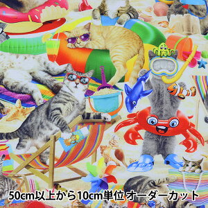 y5z n wUSARbg LbcEIEUr[` }`J[ CAT-CD8843x