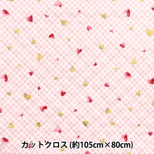 n wJtLoXV[`OLg Xp[NOn[g JbgNX 105×80cm sN QCOCAN-HT-PIx KOKKA RbJ